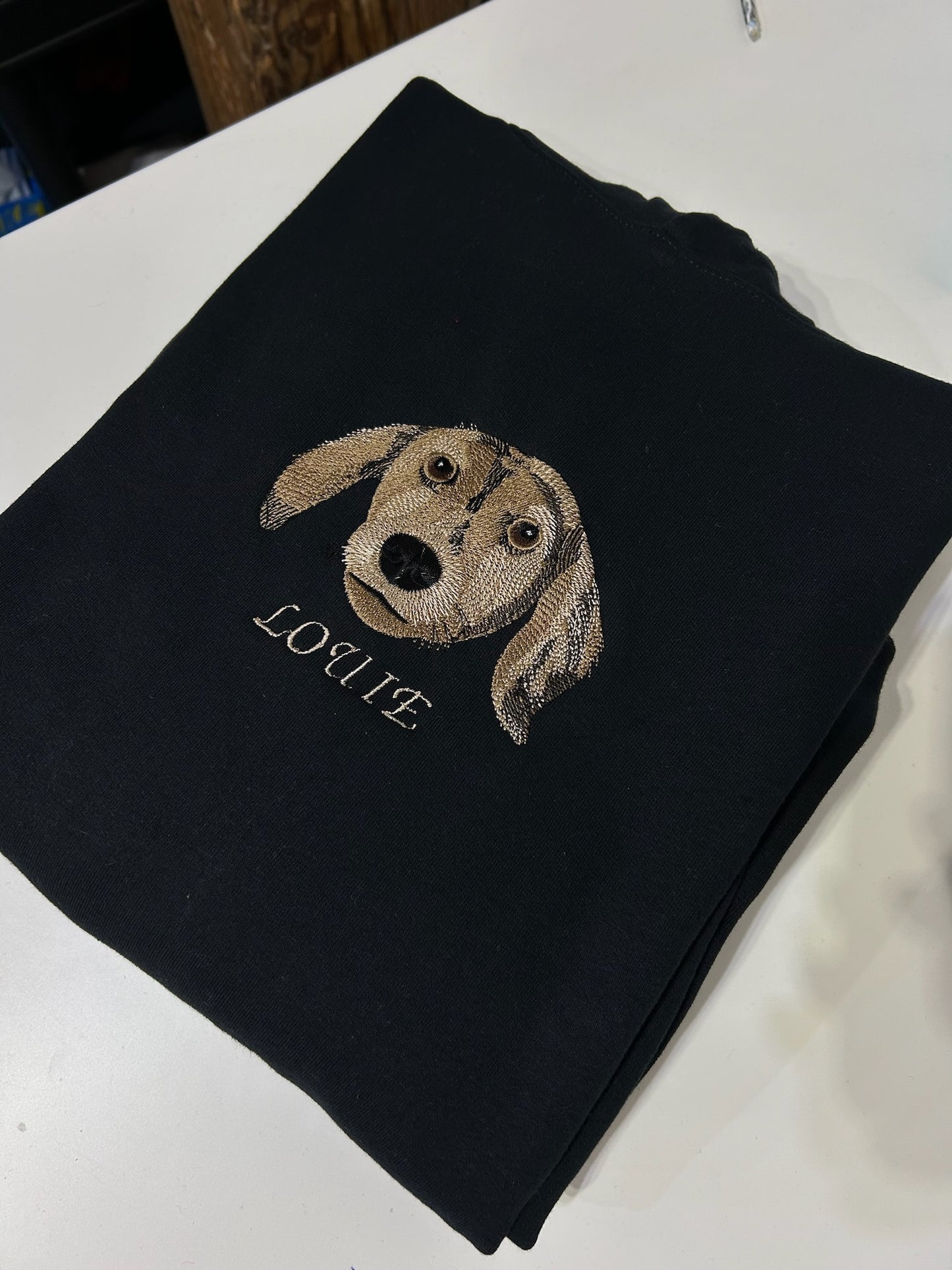 Pet Portrait - Color