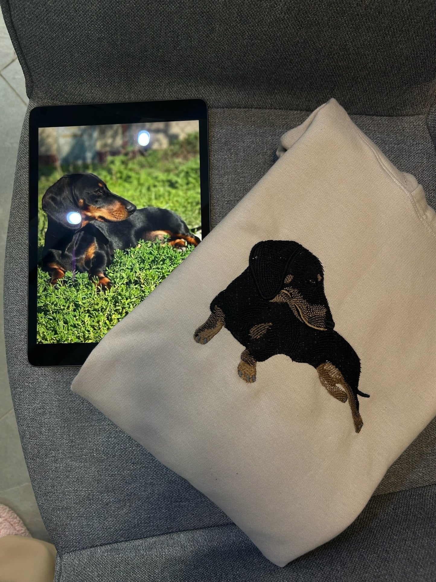Pet Portrait - Color