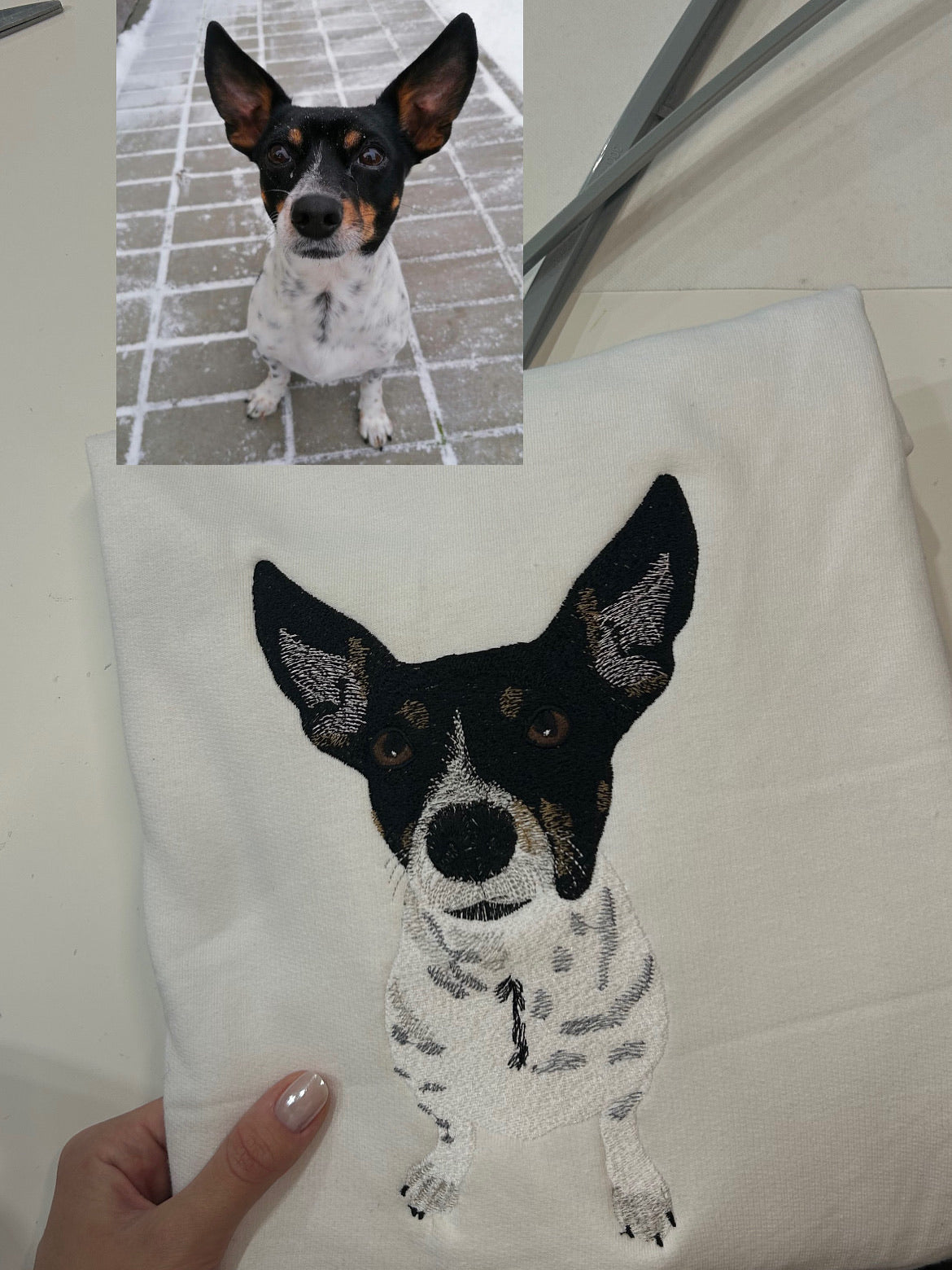 Pet Portrait - Color
